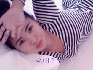 ANGIE231