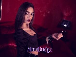 AlmaBridge