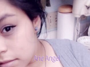 Arie_Angel