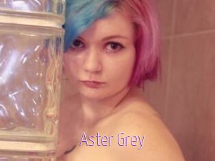 Aster_Grey