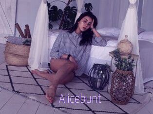 Alicebunt