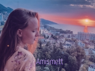 Amismett