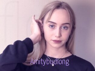 Amitybudlong