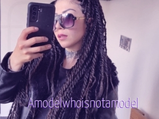 Amodelwhoisnotamodel