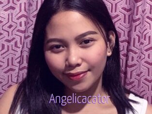 Angelicacator