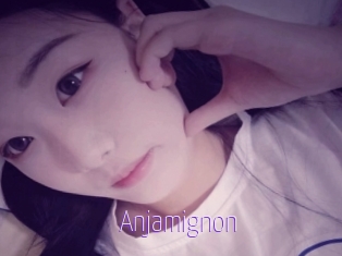 Anjamignon