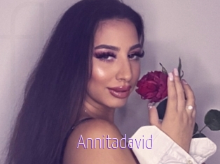 Annitadavid