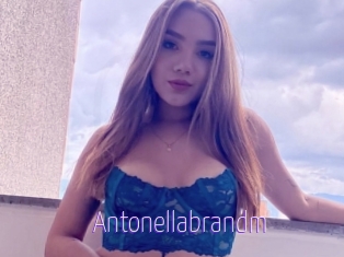 Antonellabrandm