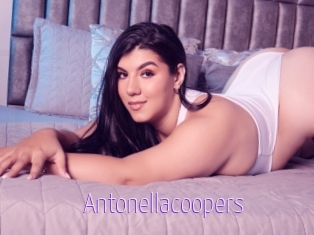 Antonellacoopers