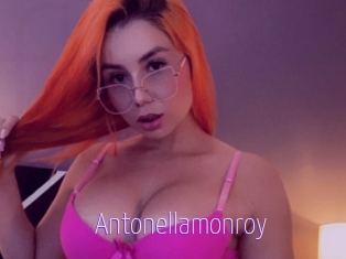 Antonellamonroy