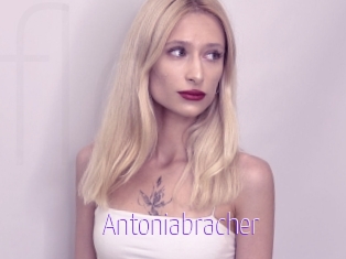 Antoniabracher