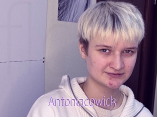 Antoniacowick