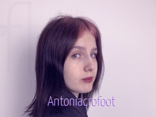 Antoniacrofoot