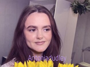 Antoniadudley