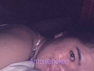 Antoniarieken