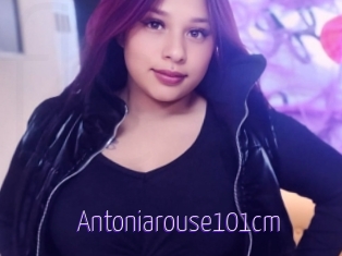 Antoniarouse101cm