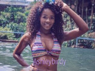 Ashleybirdy