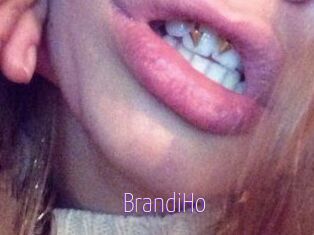 BrandiHo