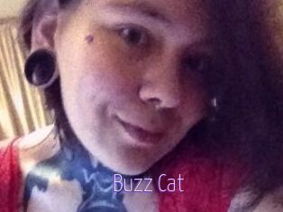 Buzz_Cat