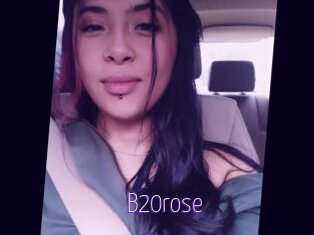 B20rose