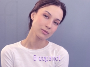 Breeganet