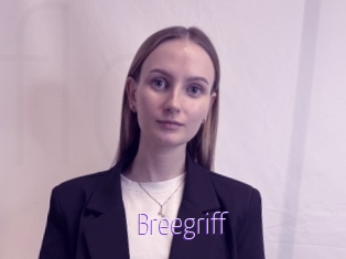 Breegriff