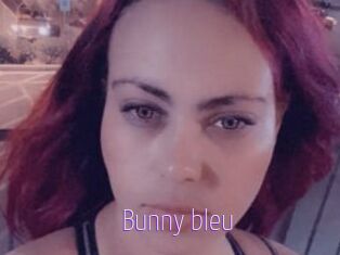 Bunny_bleu