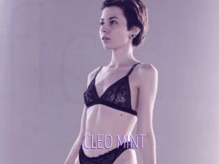 CLEO_MINT