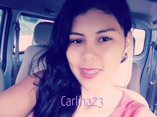 Carlina23