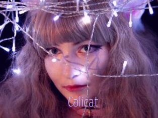 Calicat