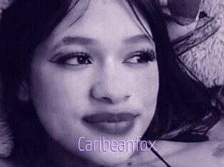 Caribeanfox