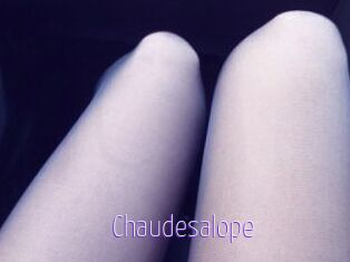 Chaudesalope