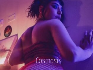 Cosmosis