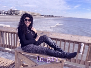 Cougarv