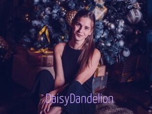 DaisyDandelion