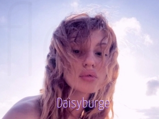 Daisyburge