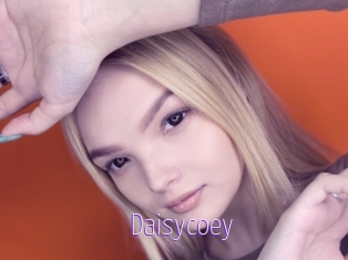 Daisycoey