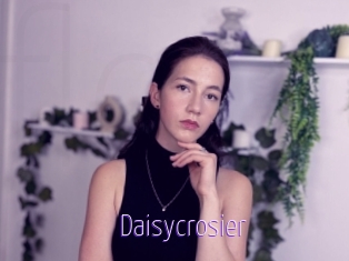 Daisycrosier