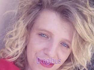 Dragibus