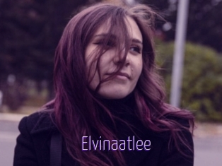 Elvinaatlee