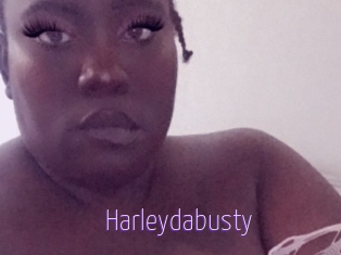 Harleydabusty