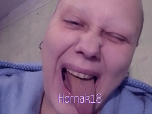 Hornak18