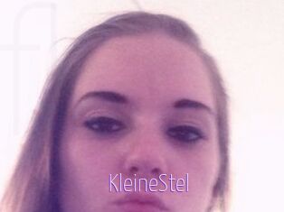 KleineStel