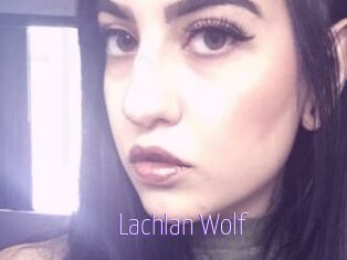 Lachlan_Wolf