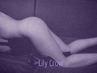 Lily_Crow