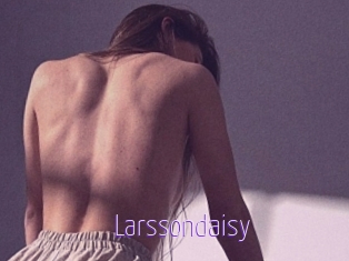 Larssondaisy