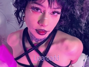 Liaaroadd