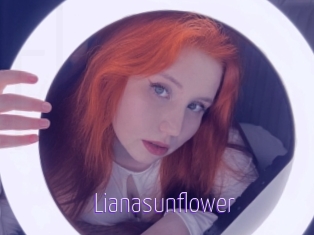 Lianasunflower