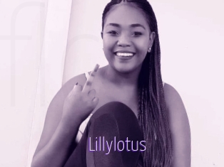 Lillylotus