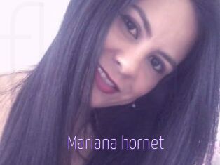 Mariana_hornet